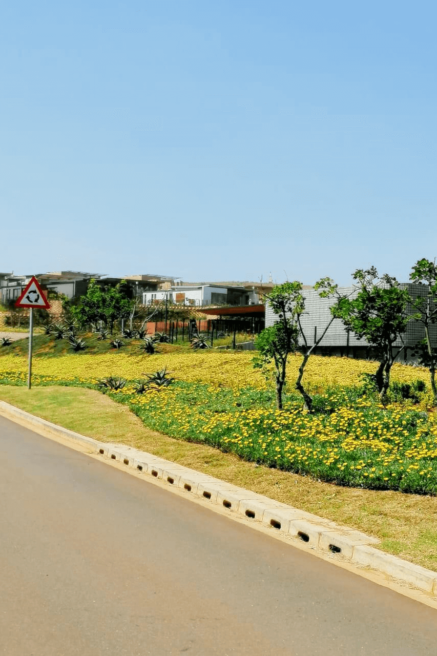 Sibaya Precinct commercial landscaping
